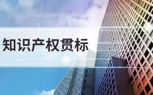 知識(shí)產(chǎn)權(quán)貫標(biāo)認(rèn)證有什么好處